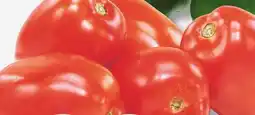 IGA ROMA ITALIAN TOMATOES offer