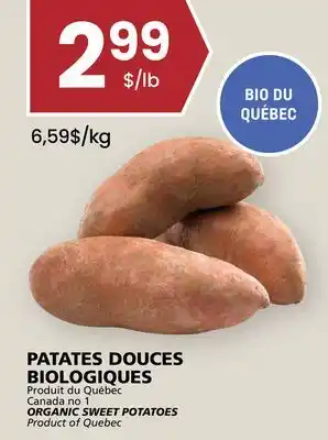 Rachelle-Bery Grocery ORGANIC SWEET POTATOES offer