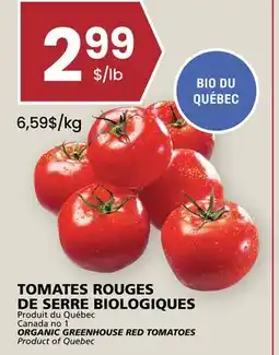 Rachelle-Bery Grocery ORGANIC GREENHOUSE RED TOMATOES offer