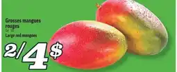 Marché Richelieu GROSSES MANGUES ROUGES | LARGE RED MANGOES offer
