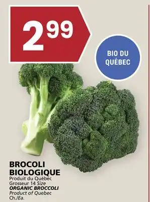Rachelle-Bery Grocery ORGANIC BROCCOLI offer