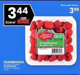 Rachelle-Bery Grocery RASPBERRIES offer