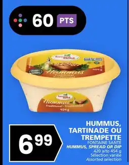 Rachelle-Bery Grocery FONTAINE SANTÉ HUMMUS, SPREAD OR DIP offer