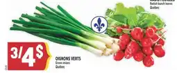 Marché Adonis OIGNONS VERTS | Green onions offer