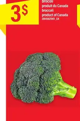 Maxi BROCOLI offer