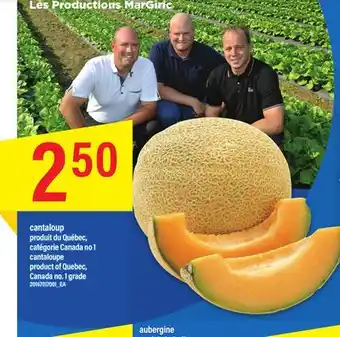 Maxi CANTALOUP offer