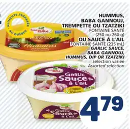 Marché Bonichoix FONTAINE (250 ou 260 g) OU SAUCE À L'AIL FONTAINE SANTÉ (235 mL) GARLIC SAUCE, BABA GANNOUJ, HUMMUS, DIP OR TZATZIKI offer