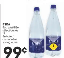 Brunet ESKA Eau gazéifiée sélectionnée offer