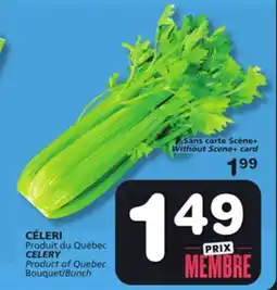 Marches Tradition CELERY offer