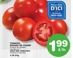 Marches Tradition FIELD RED TOMATOES offer