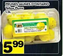 Supermarché PA Yellow Plums offer