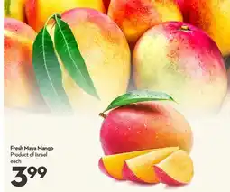 Longo's Fresh Maya Mango offer