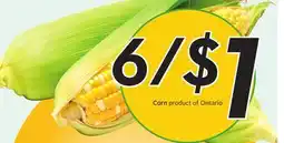 Sobeys Corn offer