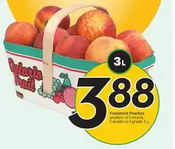 Sobeys Freestone Peaches offer