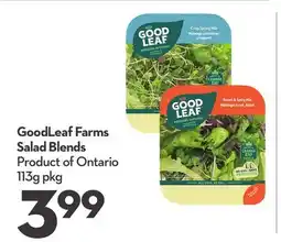 Longo's Salad Blends offer