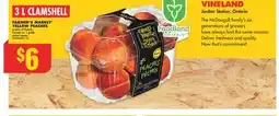 No Frills FARMER'S MARKET YELLOW PEACHES, 3 L CLAMSHELL offer