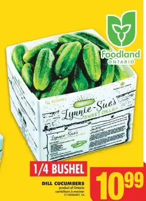 No Frills DILL CUCUMBERS, 1/4 BUSHEL offer