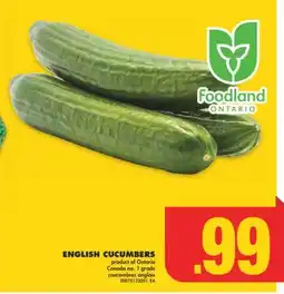 No Frills ENGLISH CUCUMBERS offer