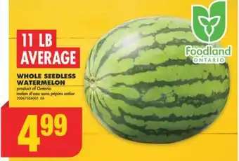 No Frills WHOLE SEEDLESS WATERMELON, 11 LB AVERAGE offer
