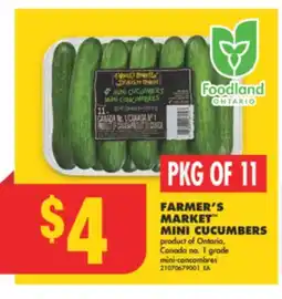 No Frills FARMER'S MARKET MINI CUCUMBERS, PKG OF 11 offer