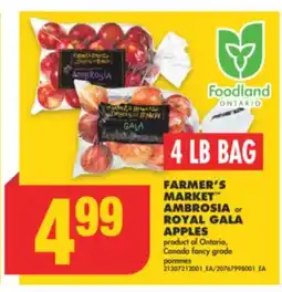 No Frills FARMER'S MARKET AMBROSIA or ROYAL GALA APPLES, 4 LB BAG offer