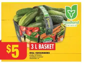 No Frills DILL CUCUMBERS, 3 L BASKET offer