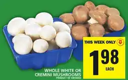 Food Basics WHOLE WHITE OR CREMINI MUSHROOMS offer