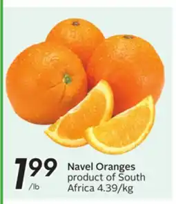 Sobeys Navel Oranges offer
