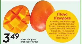 Sobeys Maya Mangoes offer