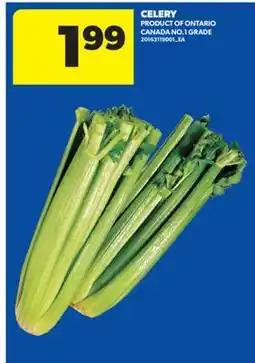 Real Canadian Superstore CELERY offer