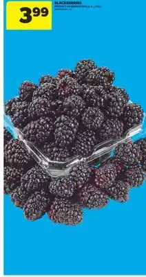 Real Canadian Superstore BLACKBERRIES, 170 G offer