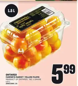 Loblaws FARMER'S MARKET YELLOW PLUMS, 1.5 L offer