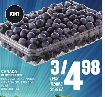 Loblaws BLUEBERRIES, PINT offer
