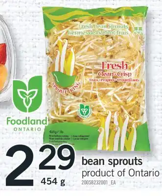 Fortinos BEAN SPROUTS offer