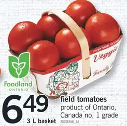 Fortinos field tomatoes offer