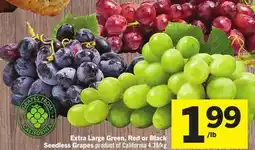 Foodland Extra Large Green, Red or Black Seedless Grapes offer