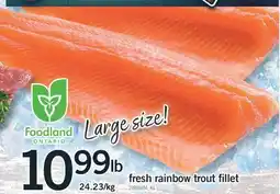 Fortinos fresh rainbow trout fillet offer