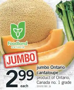 Fortinos Ontario cantaloupe offer