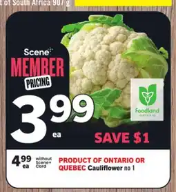 Foodland Cauliflower offer