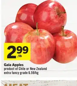 Foodland Gala Apples offer