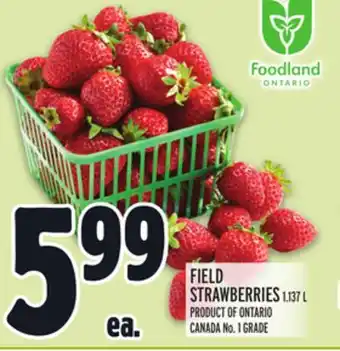 Metro FIELD STRAWBERRIES offer