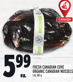 Metro CANADA FRESH CANADIAN COVE ORGANIC CANADIAN MUSSELS offer