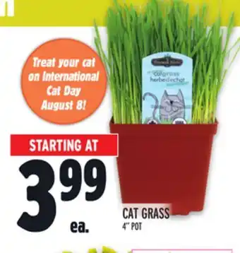 Metro CAT GRASS offer