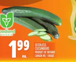 Metro SEEDLESS CUCUMBERS offer