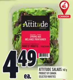 Metro ATTITUDE SALADS offer