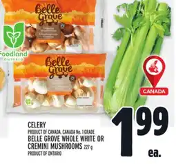 Metro CELERY offer