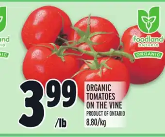 Metro ORGANIC TOMATOES ON THE VINE offer