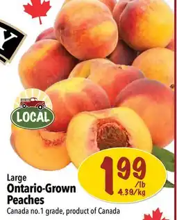 Farm Boy Ontario-Grown Peaches offer