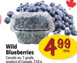 Farm Boy Wild Blueberries offer