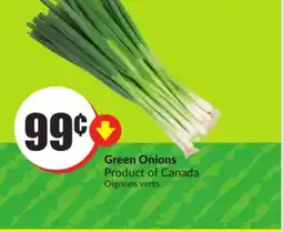 Chalo FreshCo Green Onions Product of Canada offer
